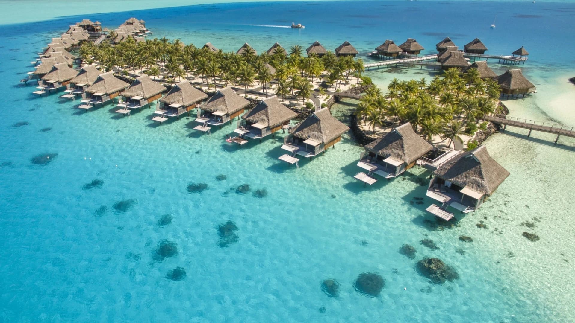 Hilton for Luxury Property